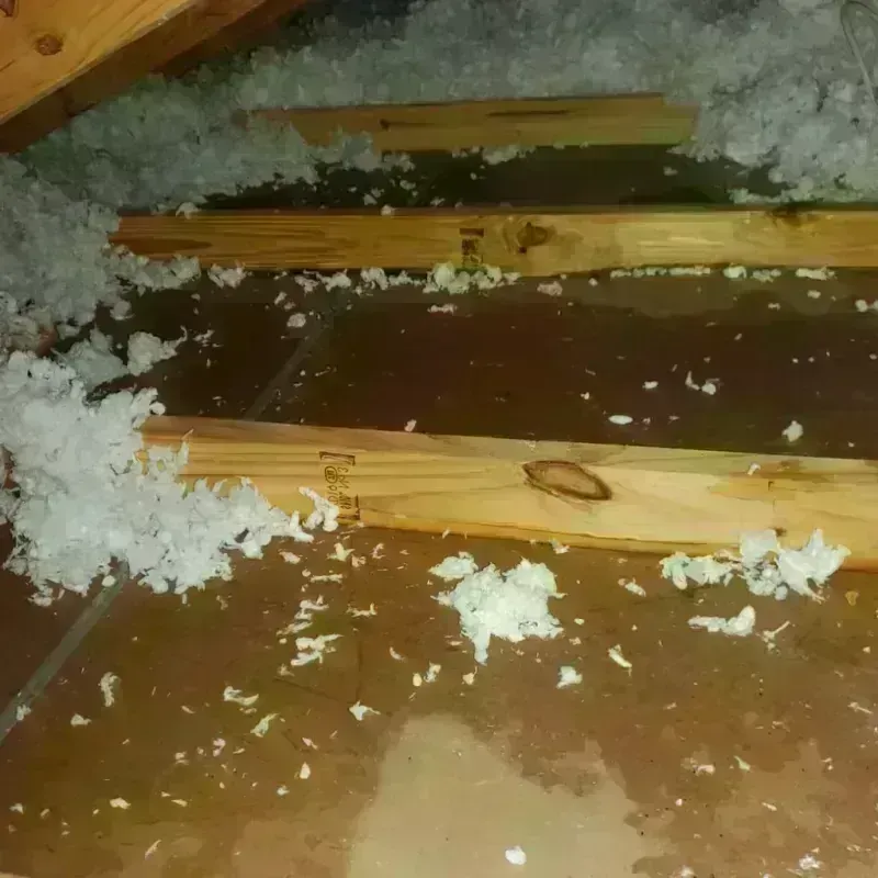 Attic Water Damage in Santa Fe Springs, CA